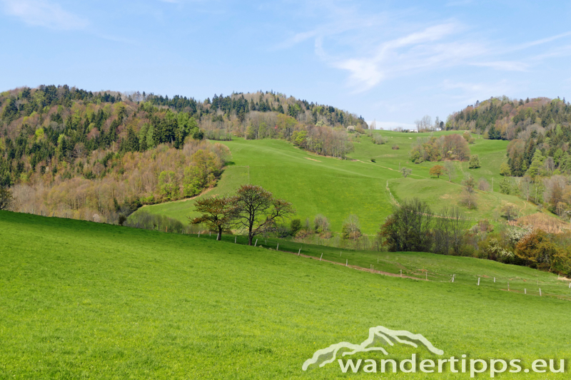 Hintere Wand/Waldeggerhaus Abbildung 3