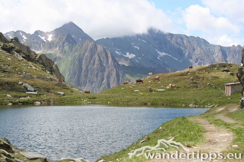 Pfitscher Joch/Kleine Rotbachlspitze Abbildung 9