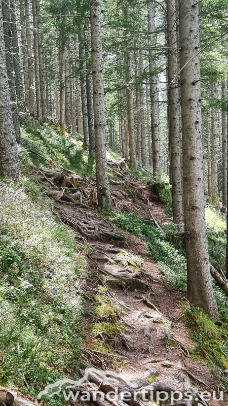 Thalerkogel Abbildung 18