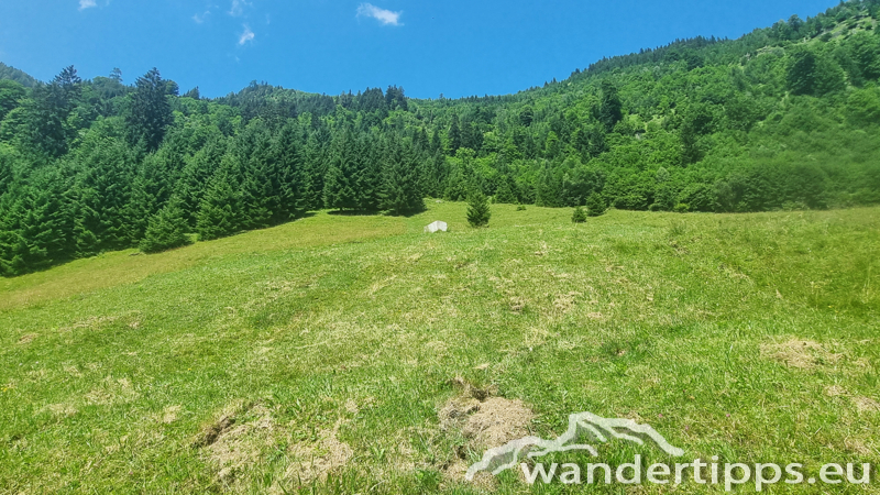 Schneckenreithalm/Bürgkogel Abbildung 12