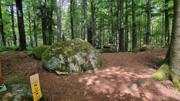 Ysperklamm/Kaltenberg Abbildung 14