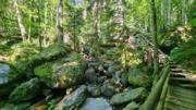 Ysperklamm/Kaltenberg Abbildung 5