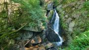 Ysperklamm/Kaltenberg Abbildung 7