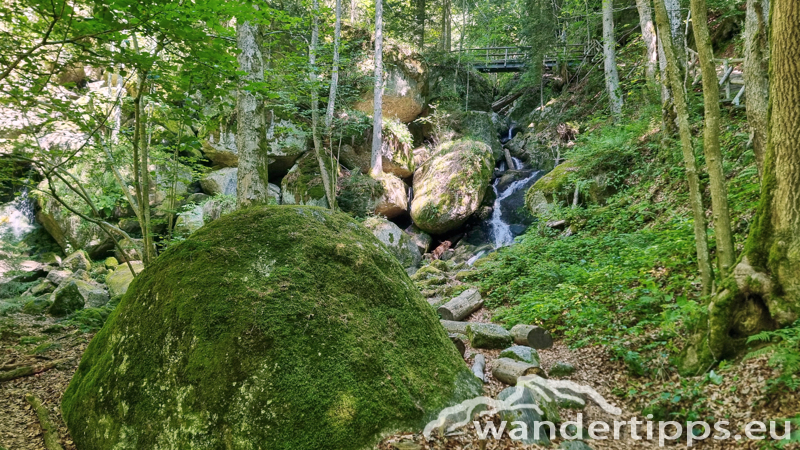 Ysperklamm/Kaltenberg Abbildung 6
