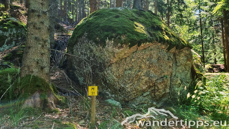 Ysperklamm/Kaltenberg Abbildung 9