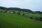 Gaisberg von Osten/Nockstein Abbildung 12