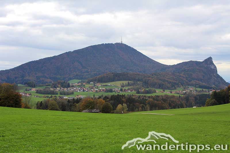 Gaisberg von Osten/Nockstein Abbildung 1