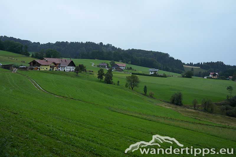 Gaisberg von Osten/Nockstein Abbildung 12